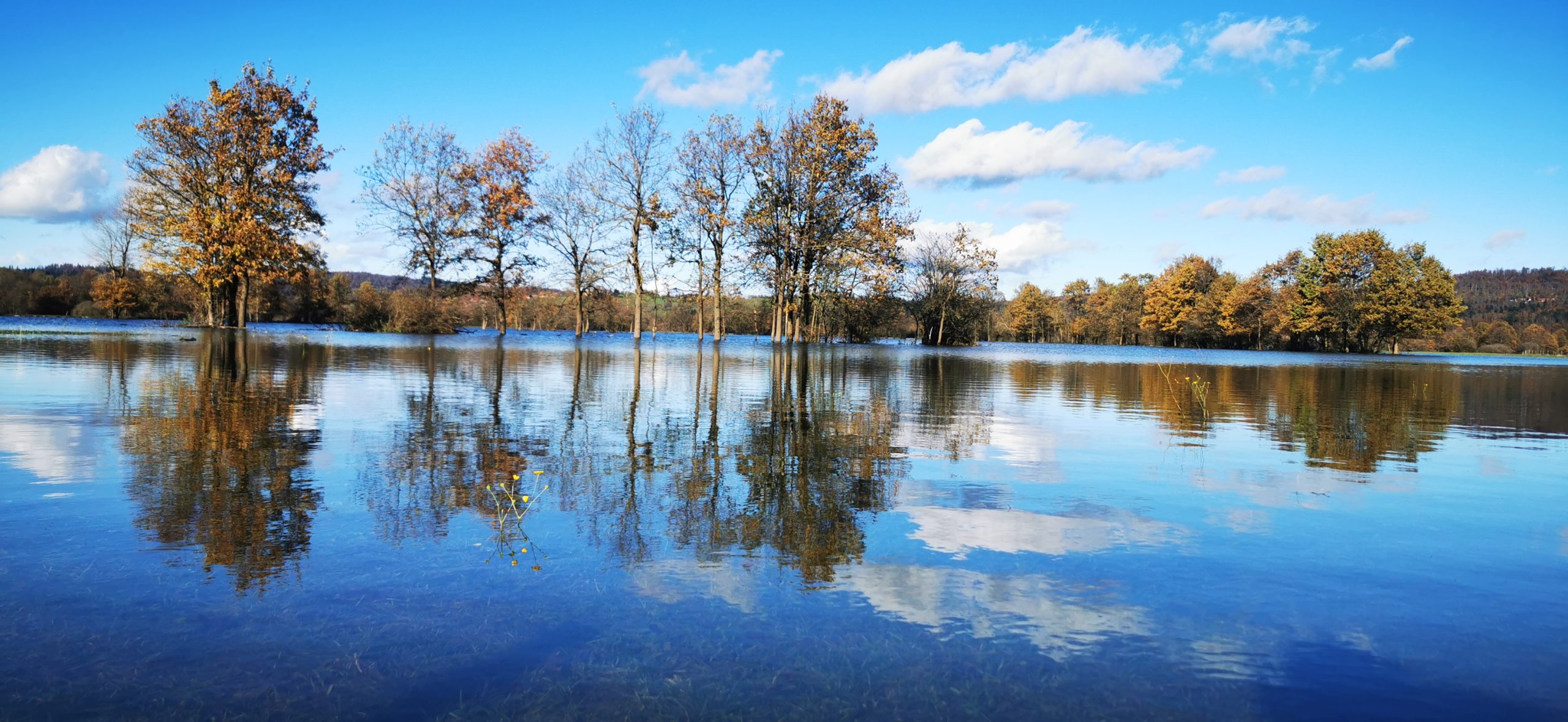 Reflection on lake